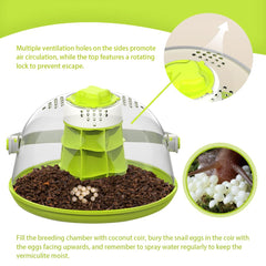 LepiBat Gems transparent feeding box showing clear view for watching feeding behavior.