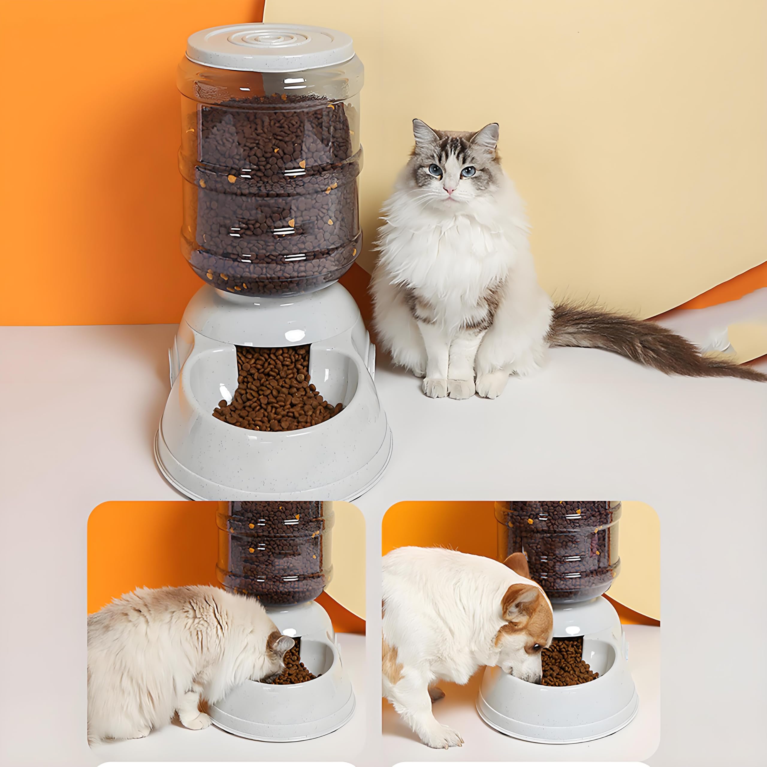 Leptzoa automatic dog feeder 3gal kitchen-dining setup blending with home decor