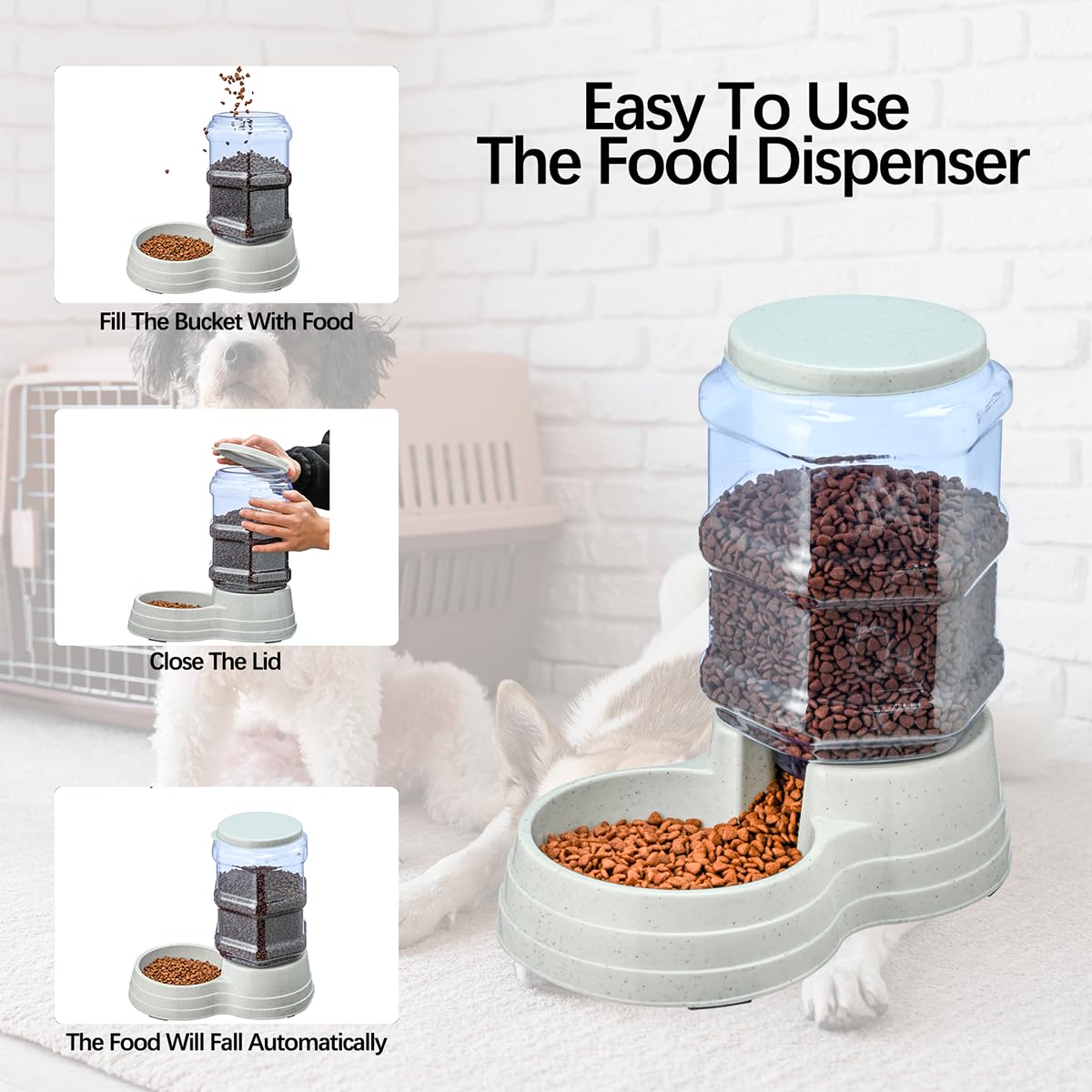 Leptzoa kitten hydration scene shows convenient mess free drinking