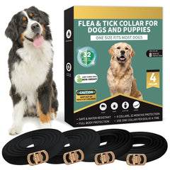 Lerqua flea collar for dogs 4-pack overview showing long-lasting protection potential