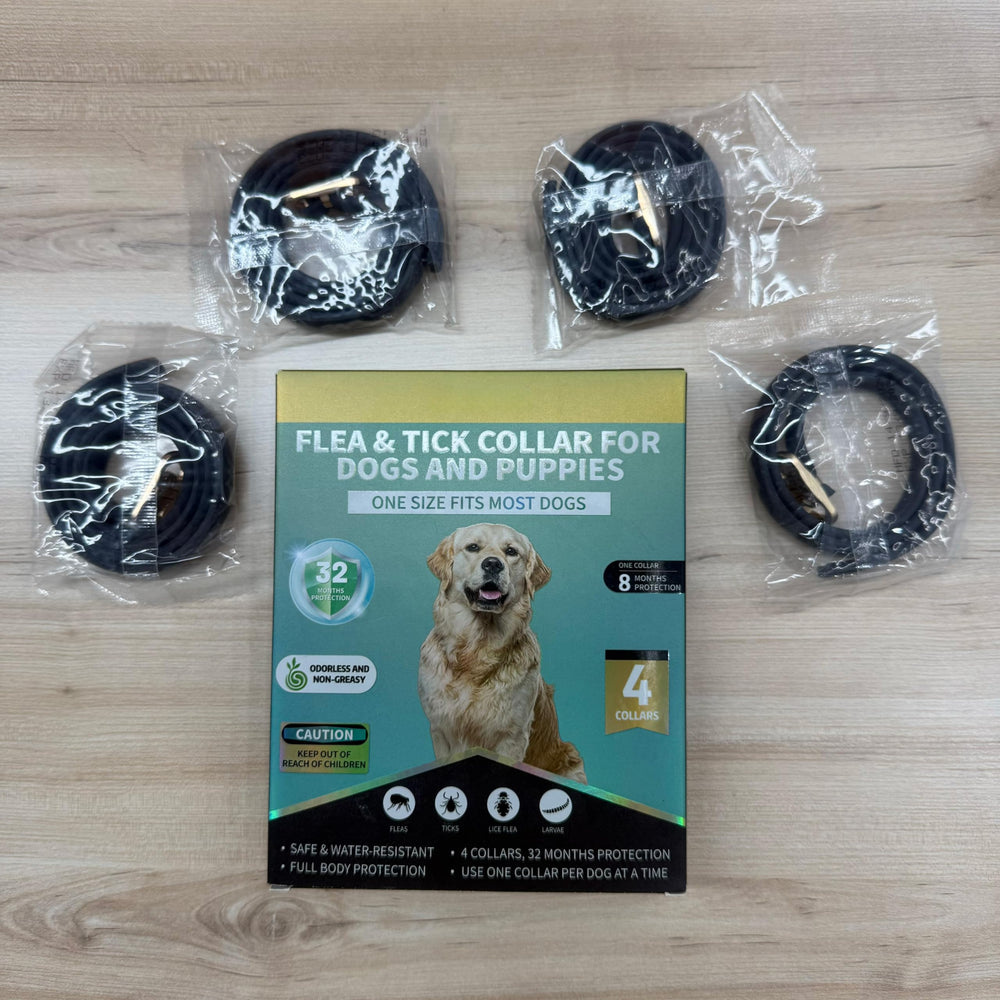 Lerqua flea collar on a dog's neck demonstrates comfortable daily wear
