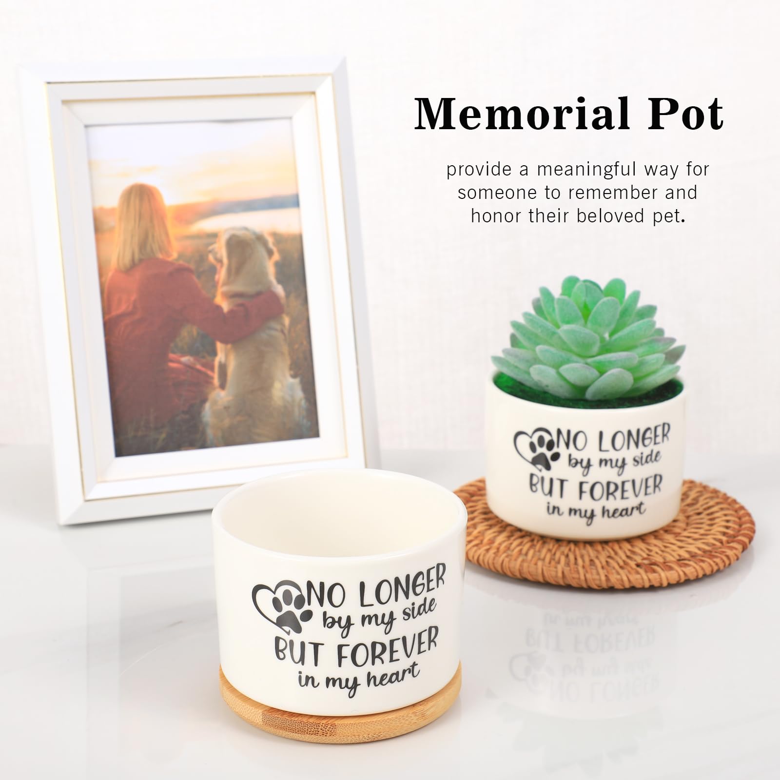 lesen paw-print-stone image captures the lasting paw imprint symbolizing a pet's memory.