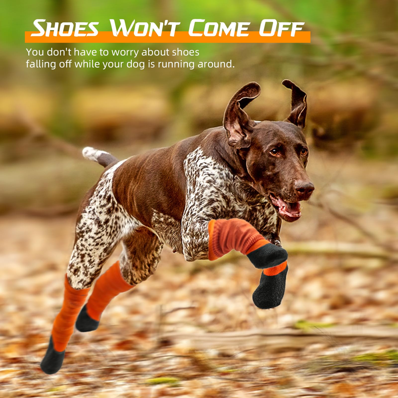 lesotc-dog-shoes winter-protection keeps paws warm outdoors.