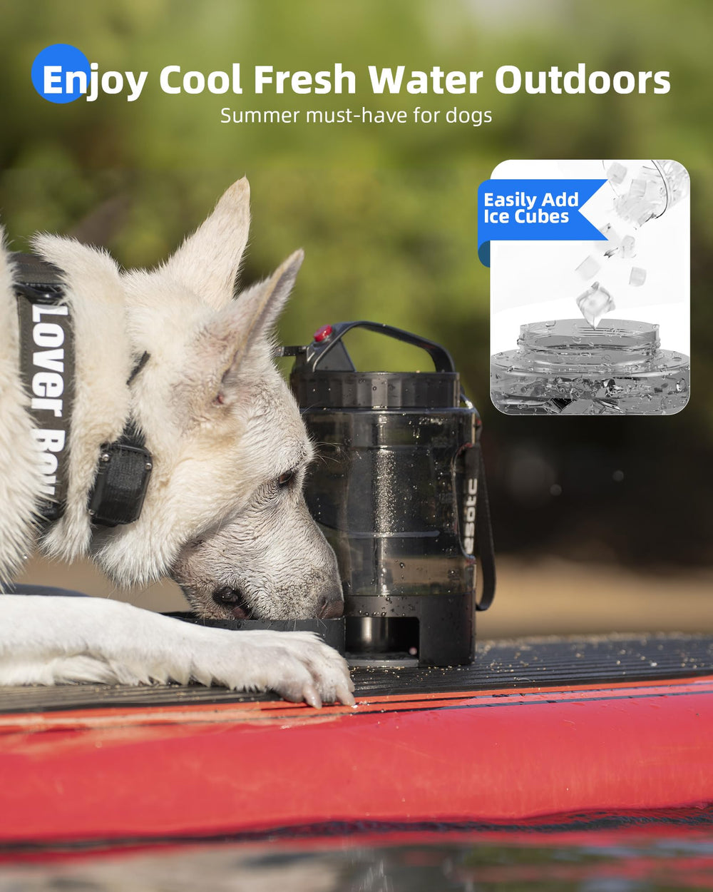 lesotc dog travel water bottle BPA-free durable materials for outdoors