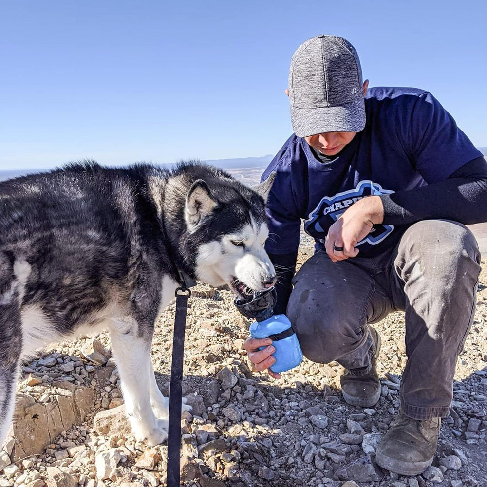 Lesotc dog water bottle 18oz capacity keeps pets hydrated on long outings