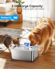 Lesotc large dog water fountain side-view shows wide access for multi-pet drinking