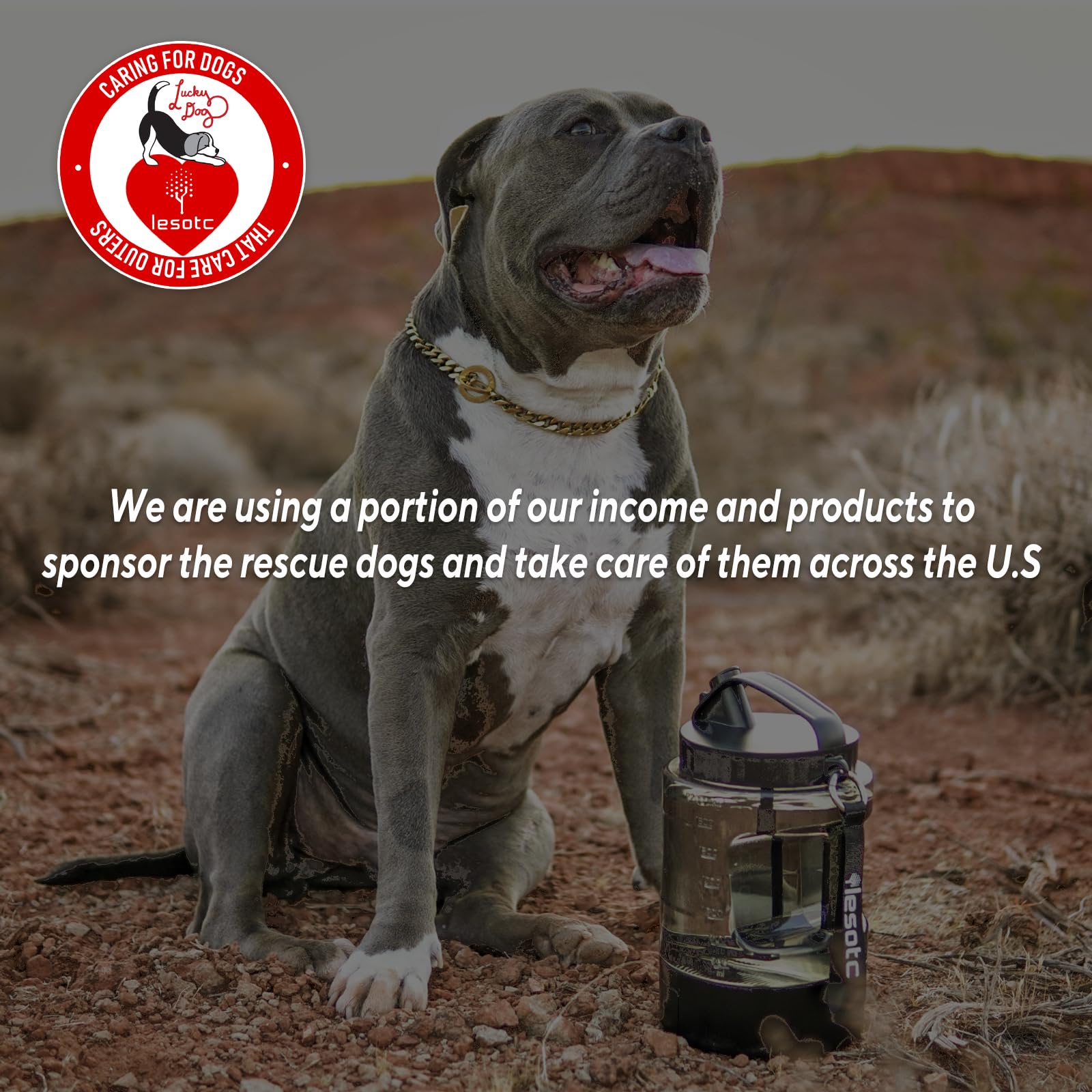 Lesotc in-use on an outdoor adventure providing dog hydration on the go