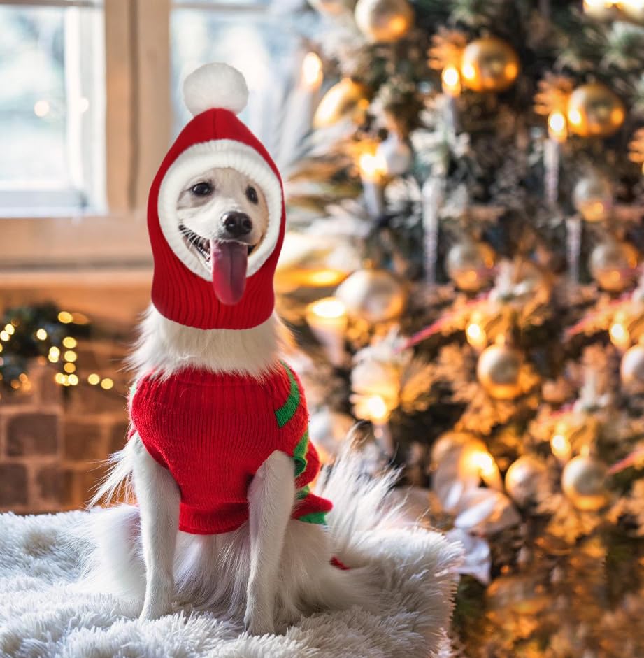 Less bad Lifeunion dog hat on pet demonstrates full-wrap warmth and fit