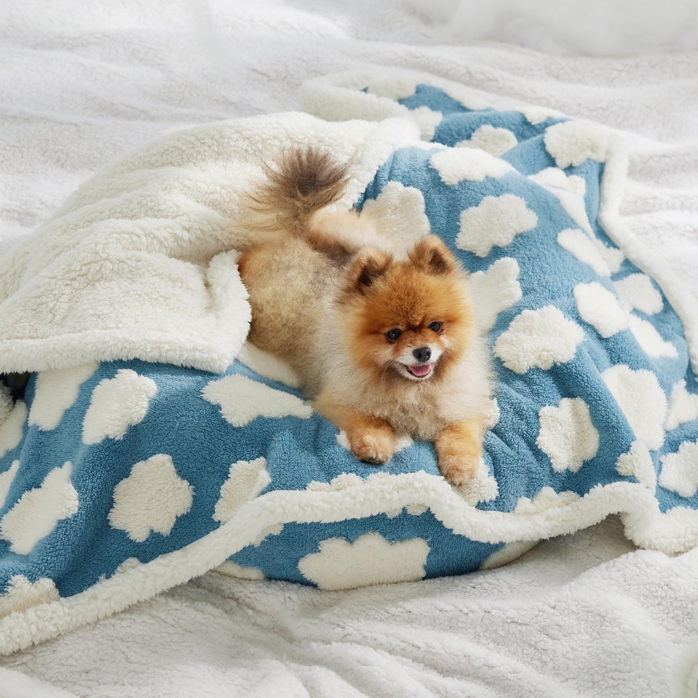 LE SURE blue-colored blanket complements decor while keeping pets comfy.