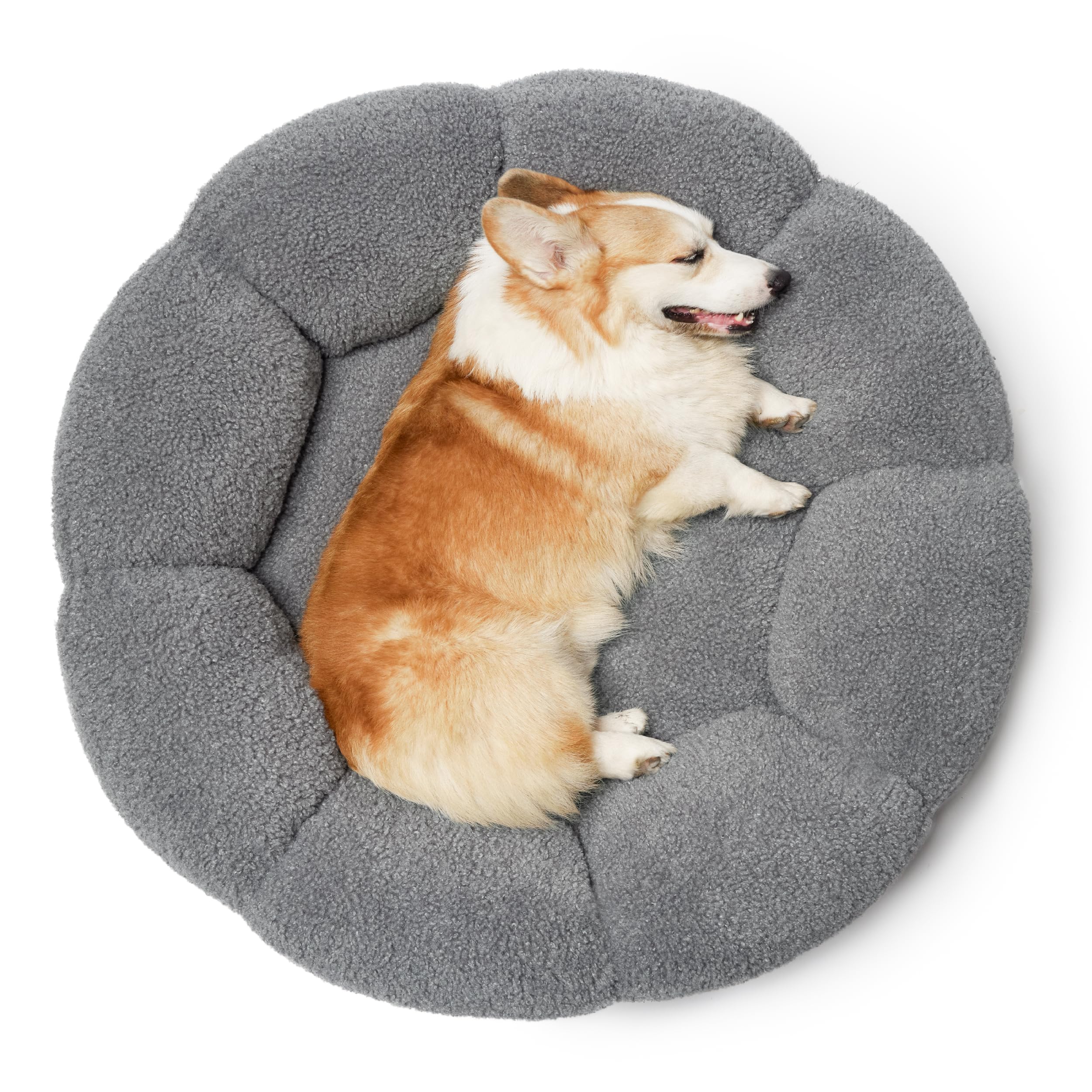LE SURE Lesure calming large dog bed is OEKO-TEX certified for safe lounging.