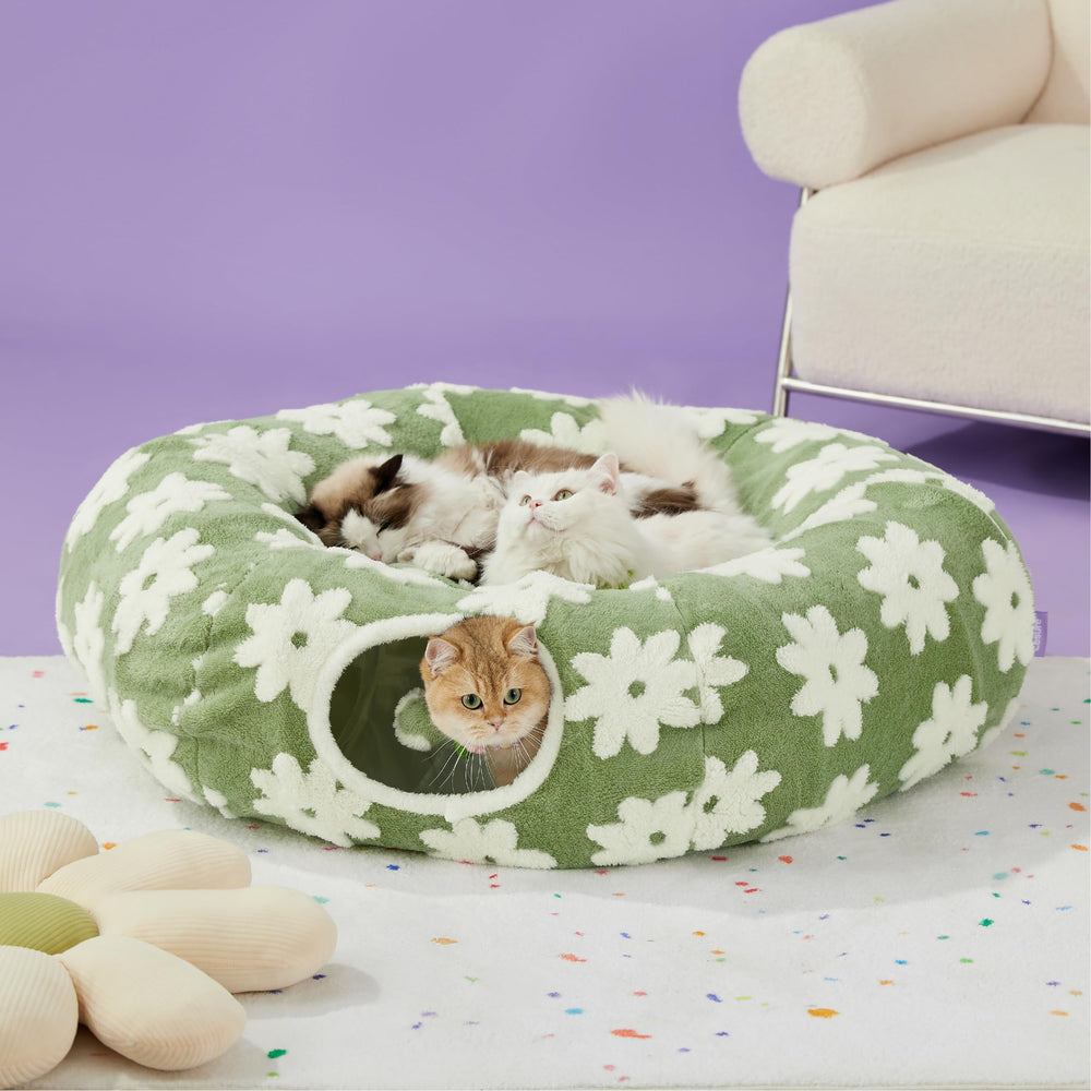 LE SURE Lesure cat tunnel supports multi-pet play and cozy retreats.