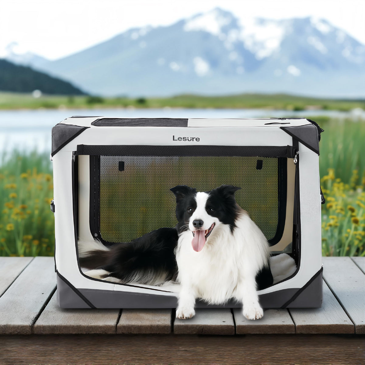 Lesure Collapsible Dog Crate with four doors for easy entry and exit.
