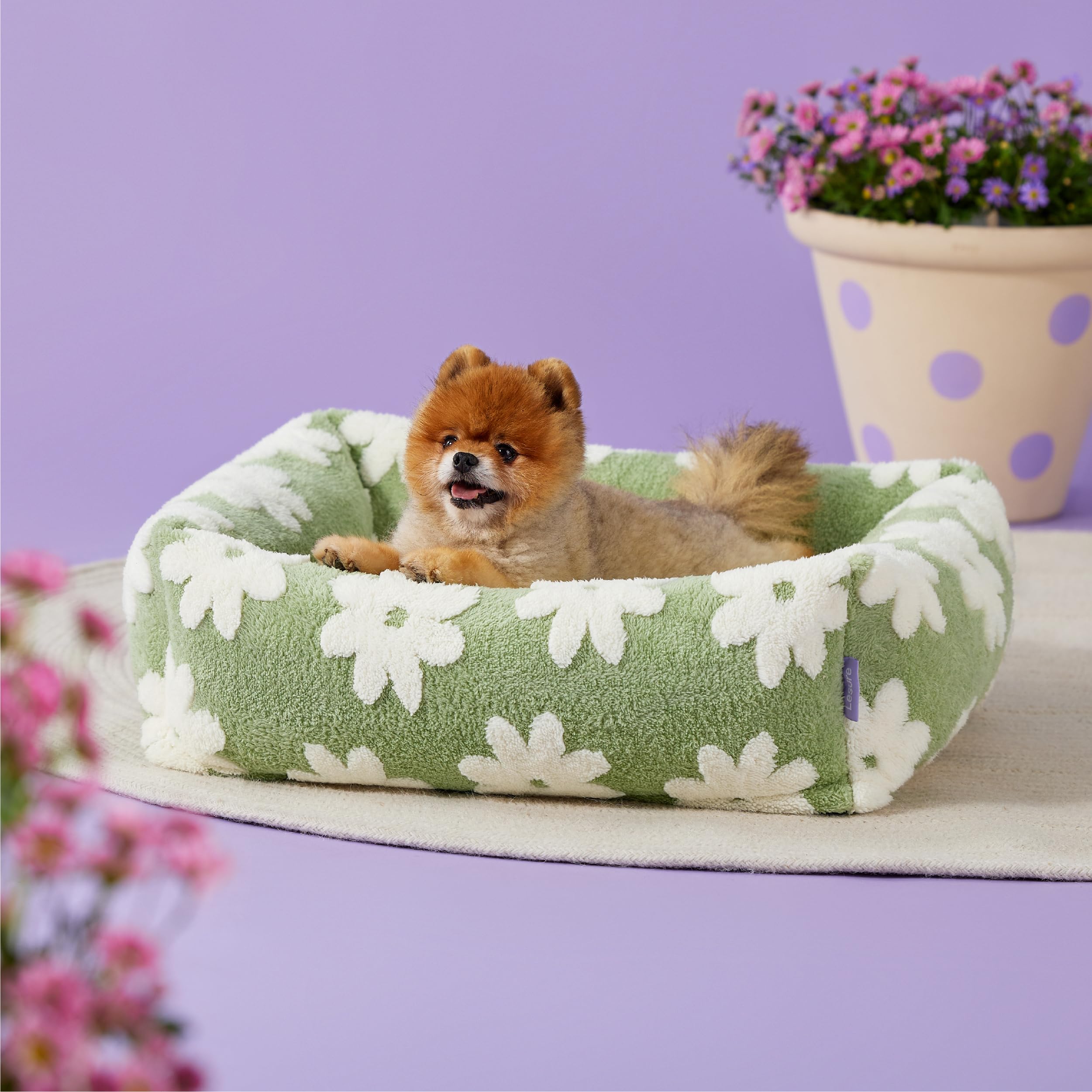 LE SURE compact 25x21x7 inches bed - ideal size for small dogs