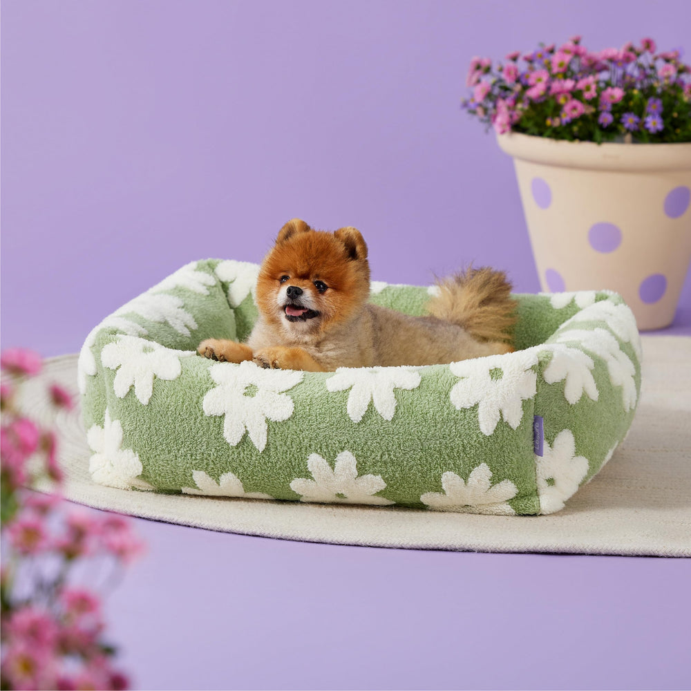 LE SURE compact 25x21x7 inches bed - ideal size for small dogs
