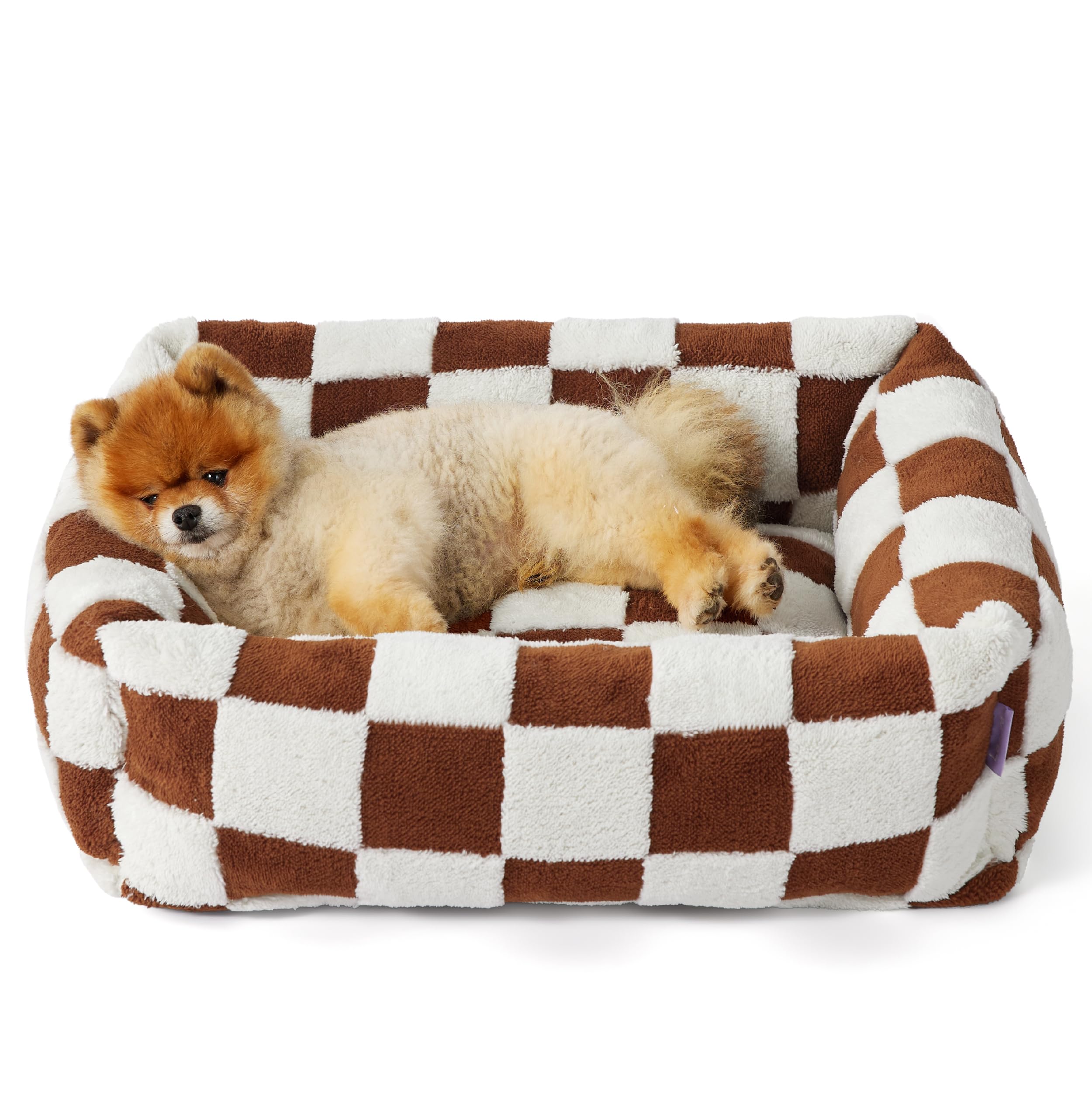 LE SURE cute dog bed front view cozy rectangle design for small dogs' comfy naps