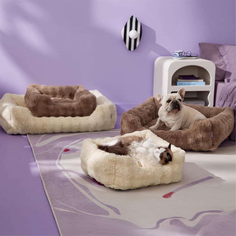 LE SURE dog lounging peacefully on beige bed highlights calming comfort