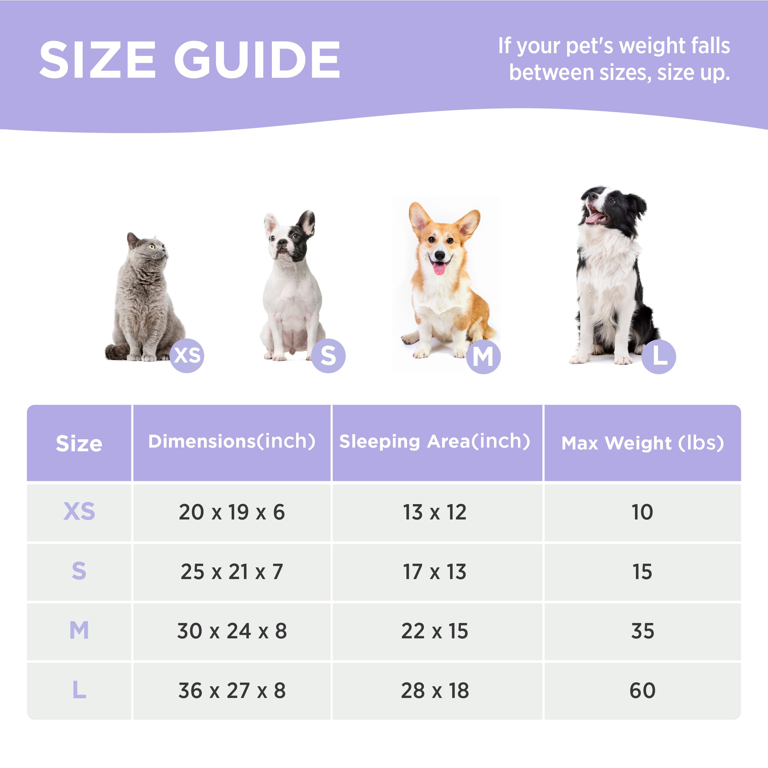 LE SURE 2:1 high-density foam mix supports joints and posture