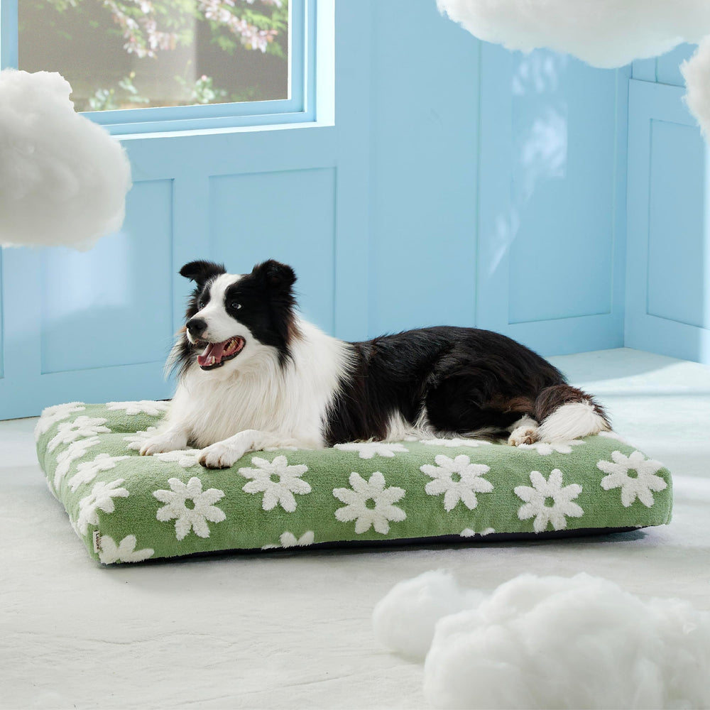 LE SURE large dog bed machine-washable cover makes cleanup quick