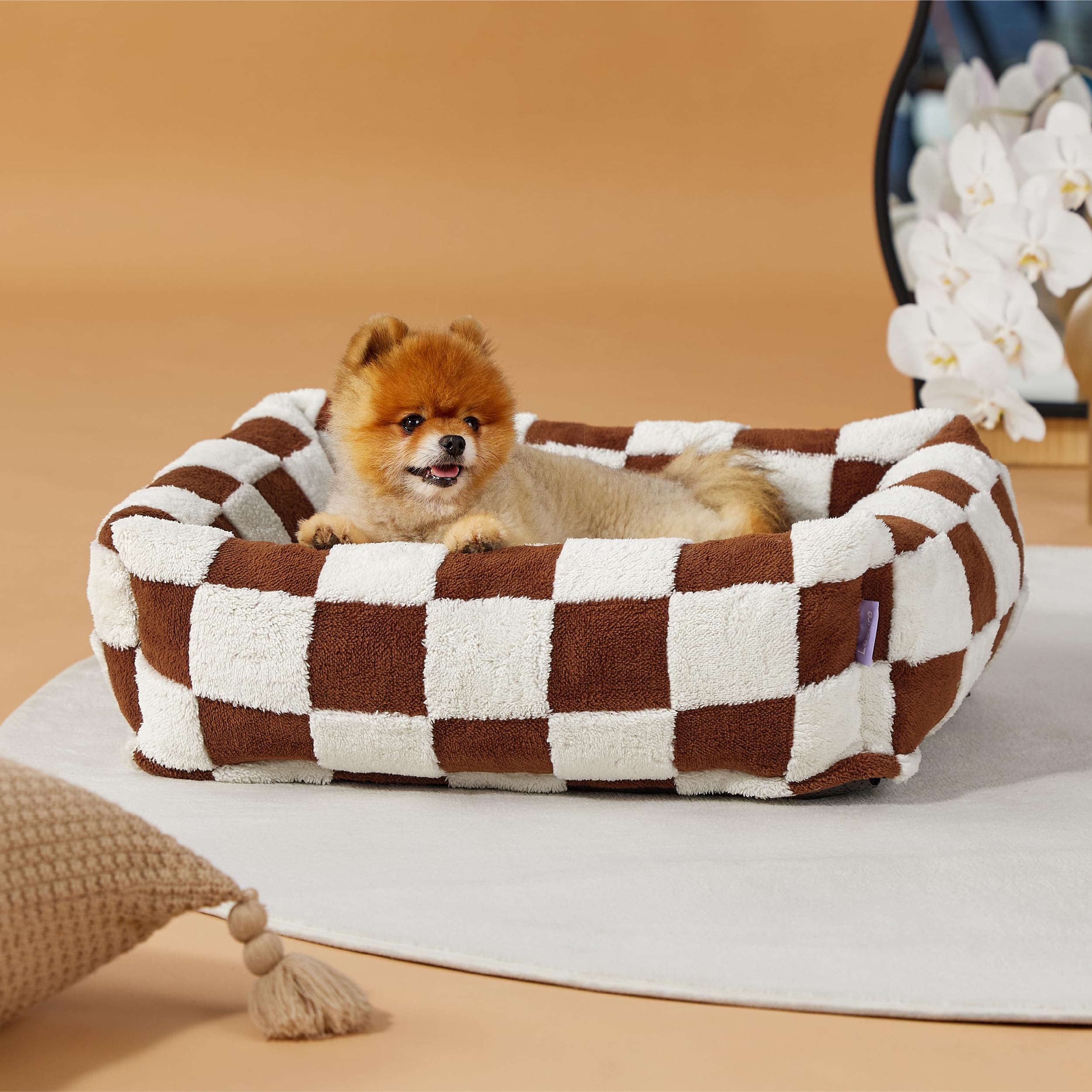LE SURE jacquard plush pattern adds decorative flair to home and pet corners