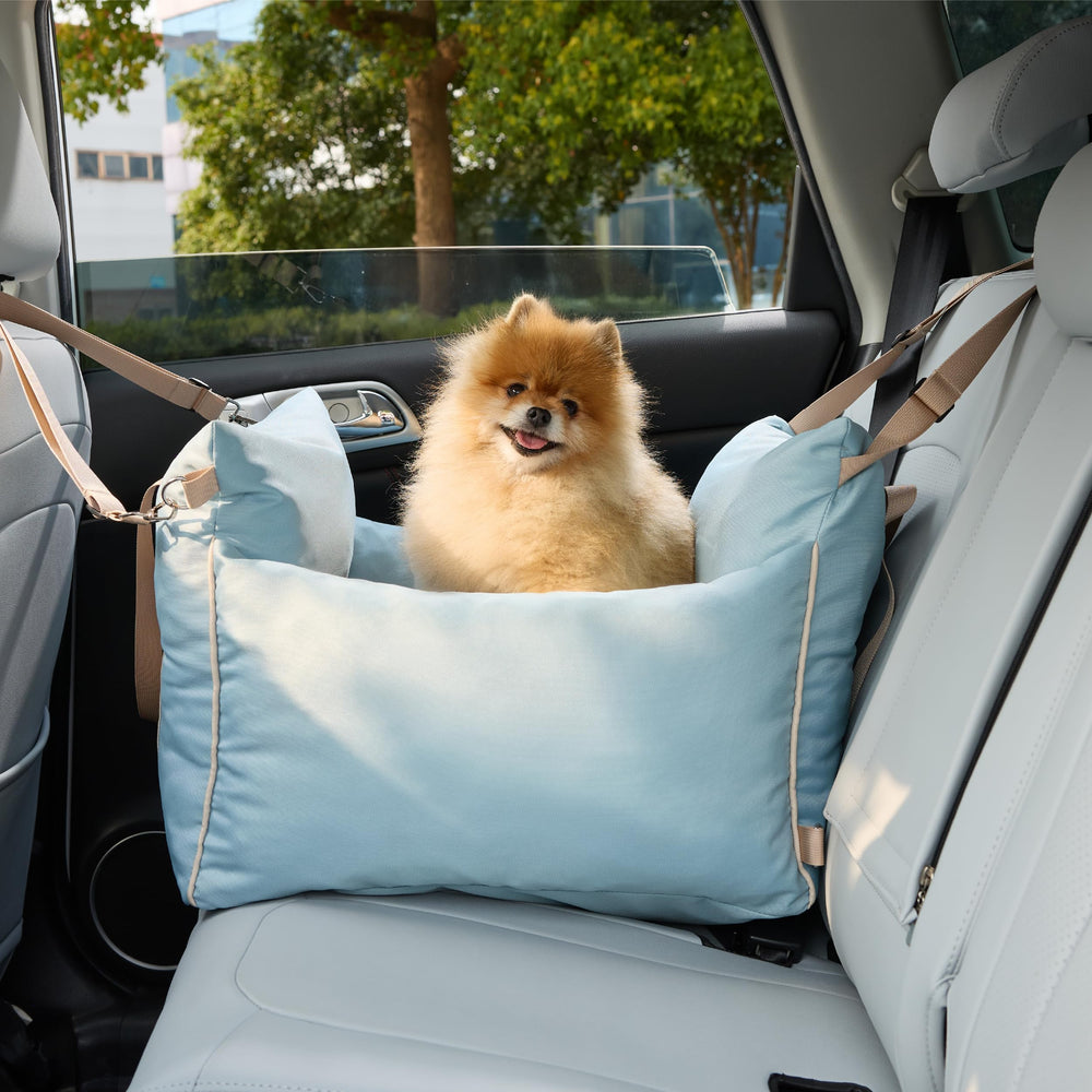 LE SURE Lesure soft blue color option complements car interiors.