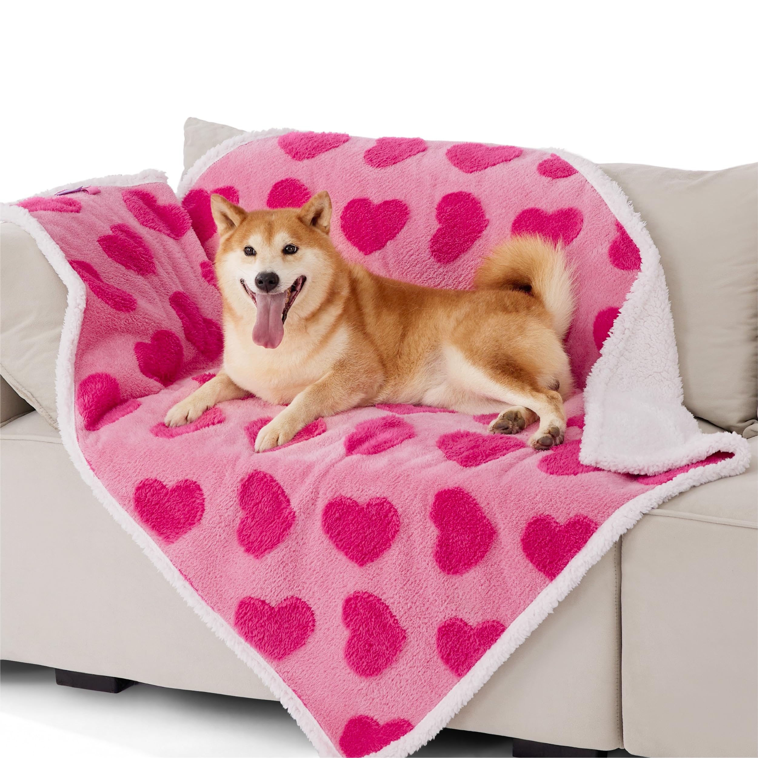 LE SURE large double-sided pink blanket offers cozy warmth for pets on the couch