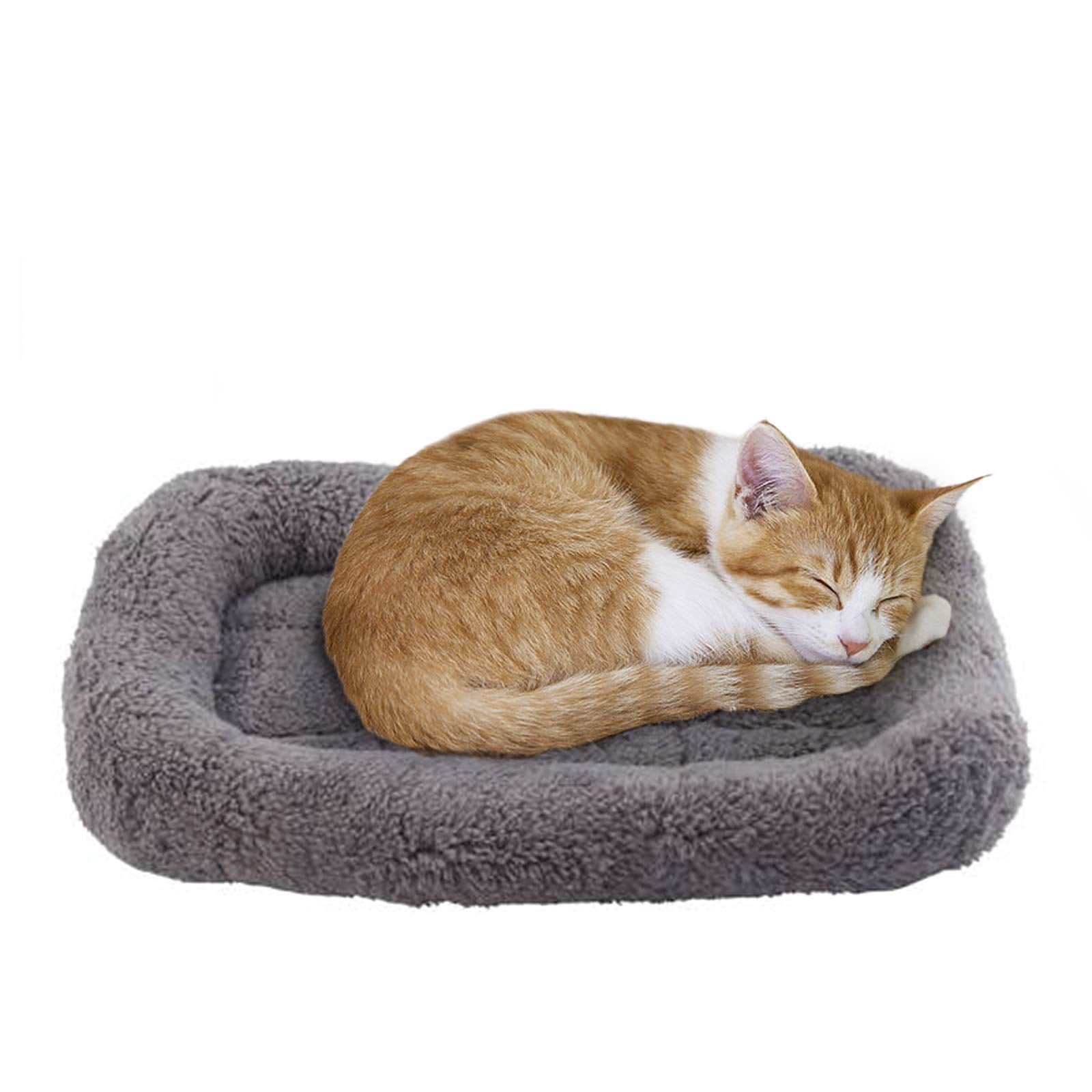 Lesypet cat bed close-up highlights soft fabrics for warm curled sleep.