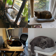 Lesypet cat bed with non-slip bottom stays securely on smooth floors.