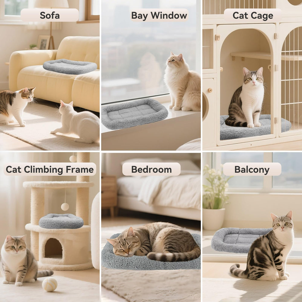 LESYPET LESYPT cat bed outer dimensions-22x16 shows roomy space for small pets