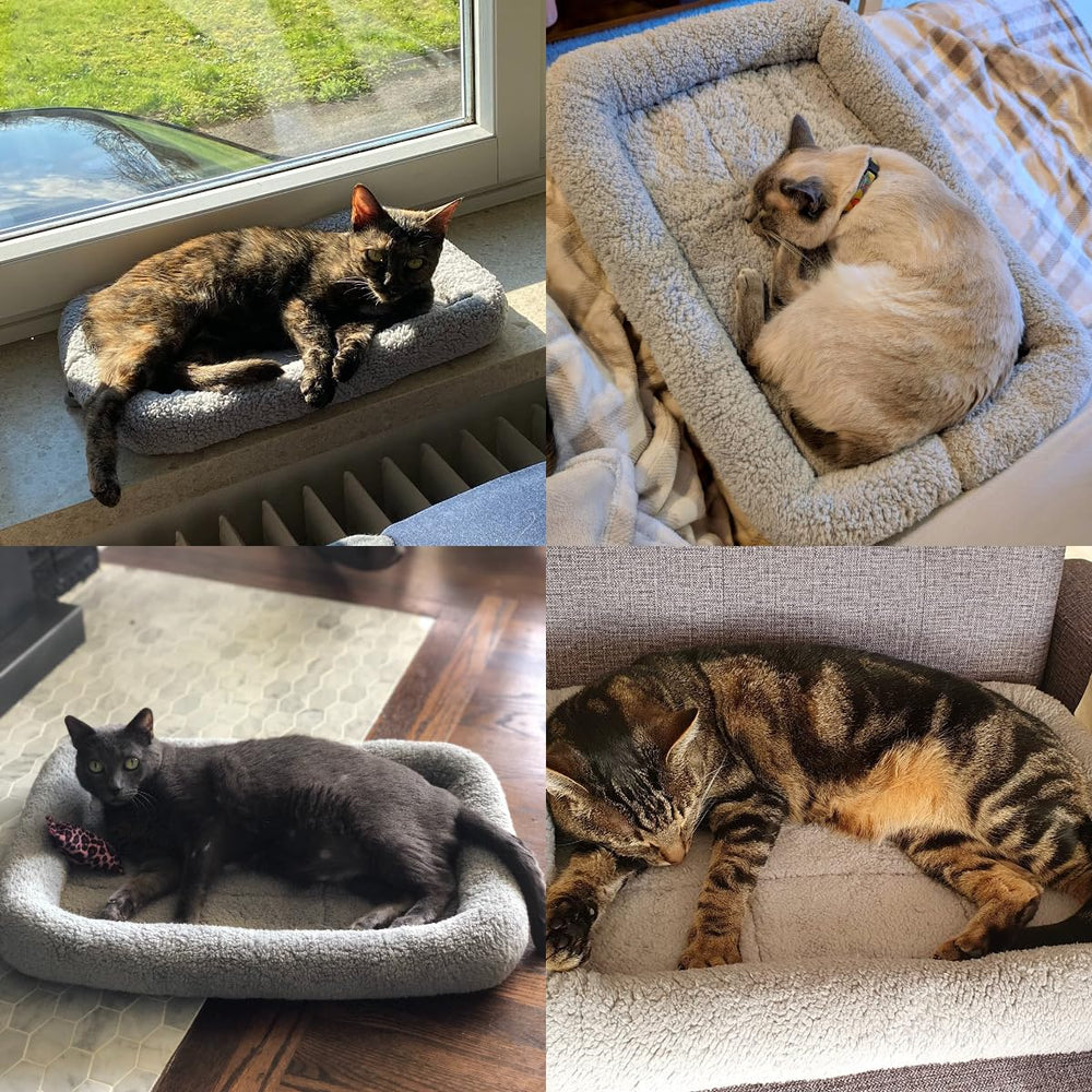Lesypet cat bed raised rim provides neck support for comfy naps.