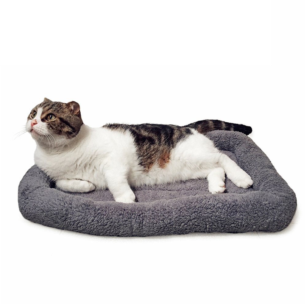 LESYPET LESYPT cat bed top view highlights compact, supportive curled-nap design