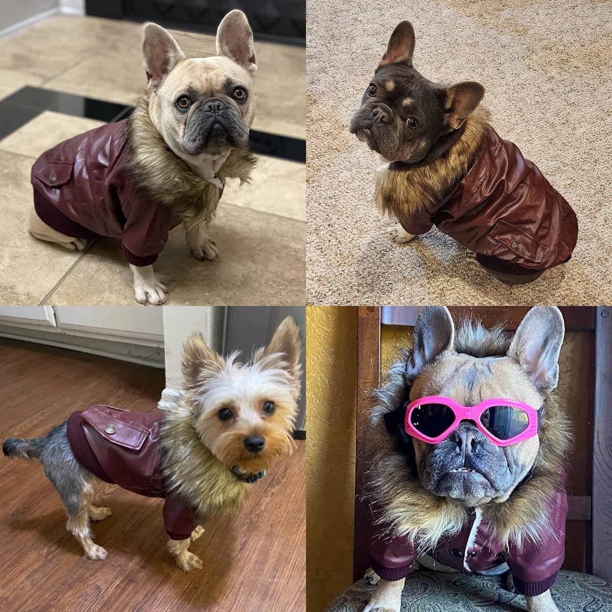 LESYPET black and red variant visually stylish winter coat for small dogs.