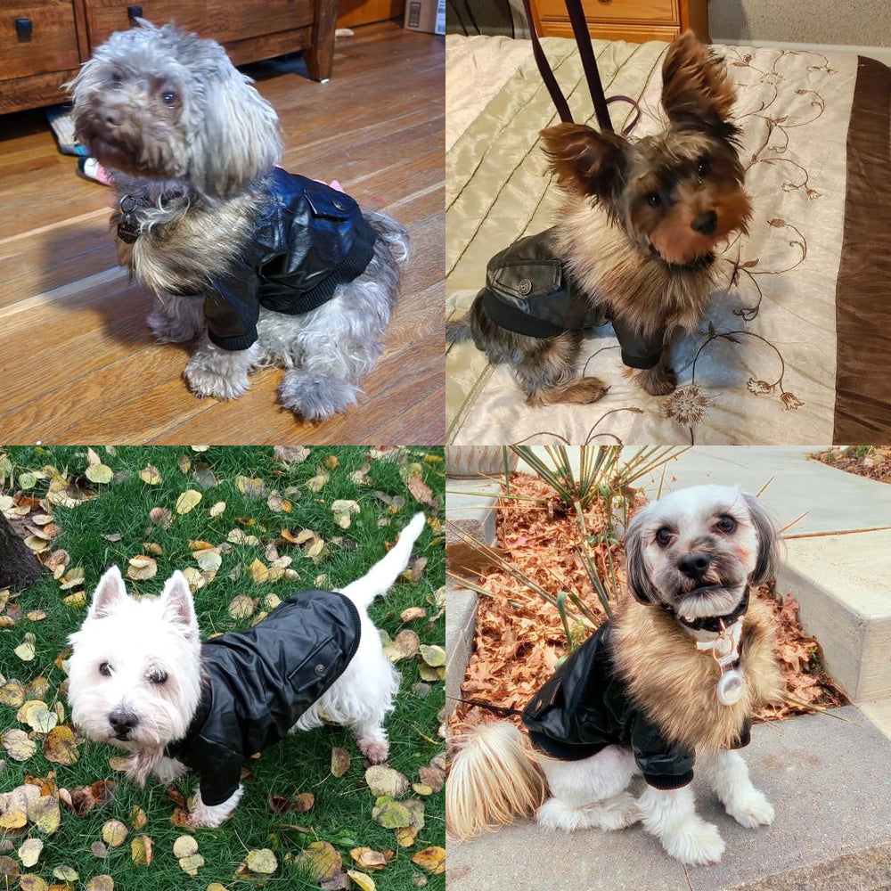 LESYPET elastic sleeves ensure full leg coverage and easy movement