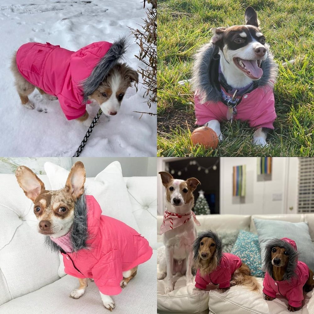 LESYPET dog coat grey back hood view shows secure hood for windy days.