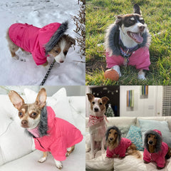 LESYPET dog coat grey back hood view shows secure hood for windy days.