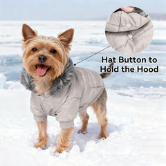 LESYPET back view highlights the leash hole for easy walking.