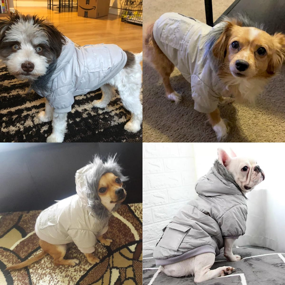 LESYPET grey coat showcases silky soft texture and winter warmth.