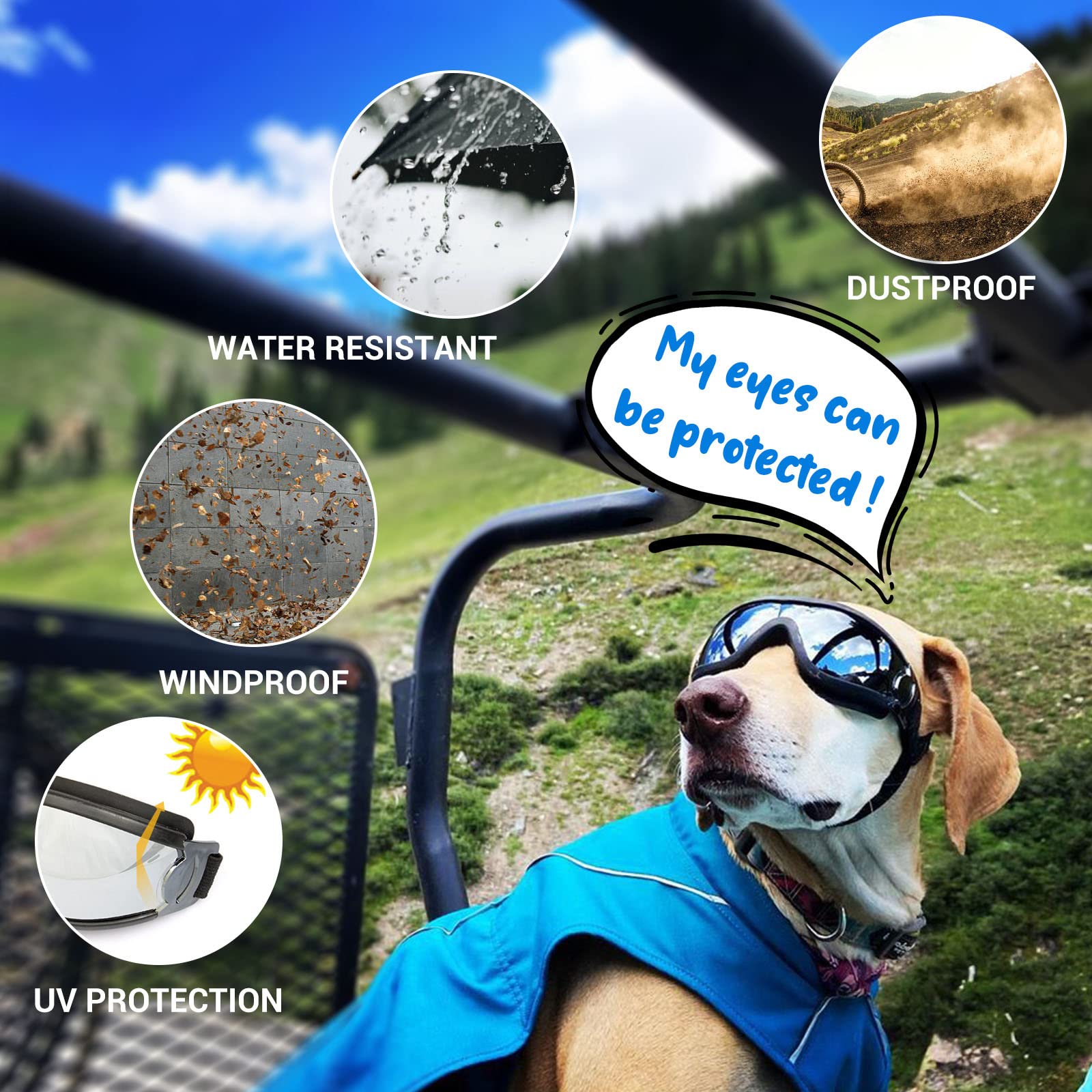 LESYPET dog goggles worn on dog for eye protection during sunny rides.