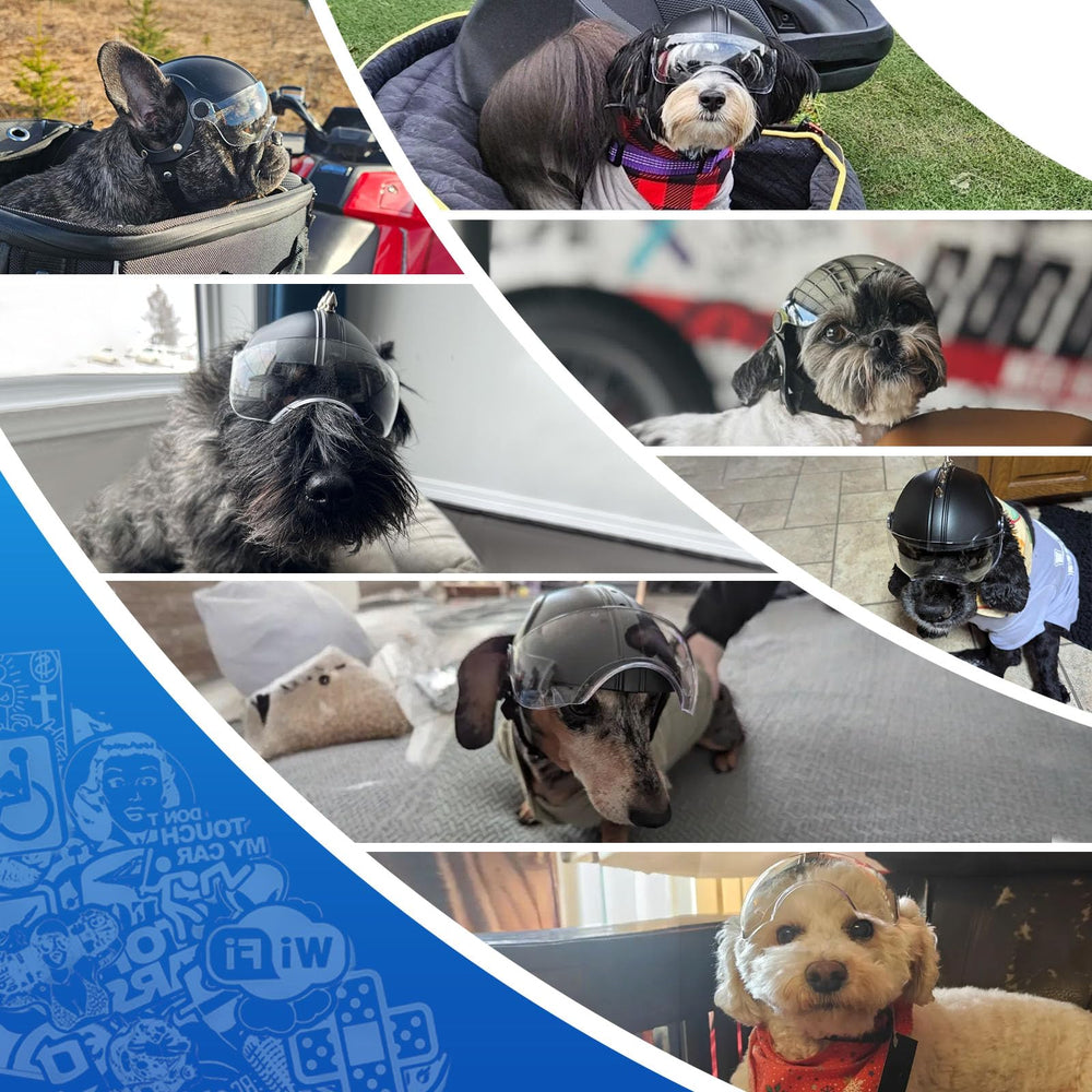LESYPET dog helmet side view highlighting compact fit for small breeds