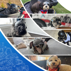LESYPET dog helmet side view highlighting compact fit for small breeds