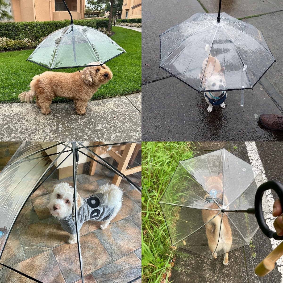 LESYPET dog umbrella clear-view window aids safe, observed walks.