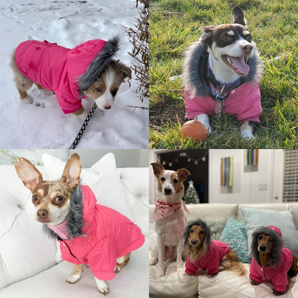 LESYPET easy snap-on-off dog jacket simplifies dressing your pet.
