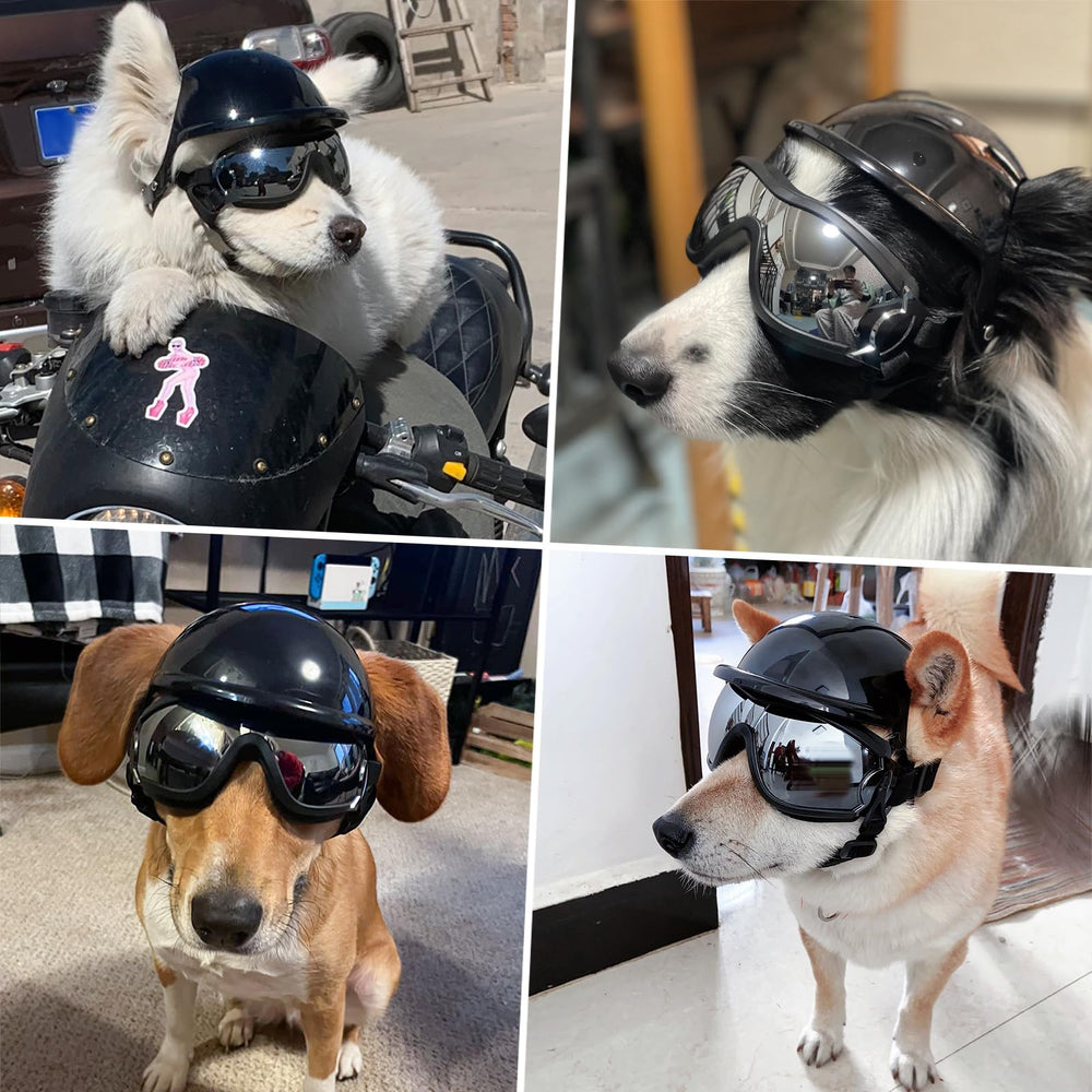 LESYPET helmet and goggles packaging shows the complete riding set for dogs.