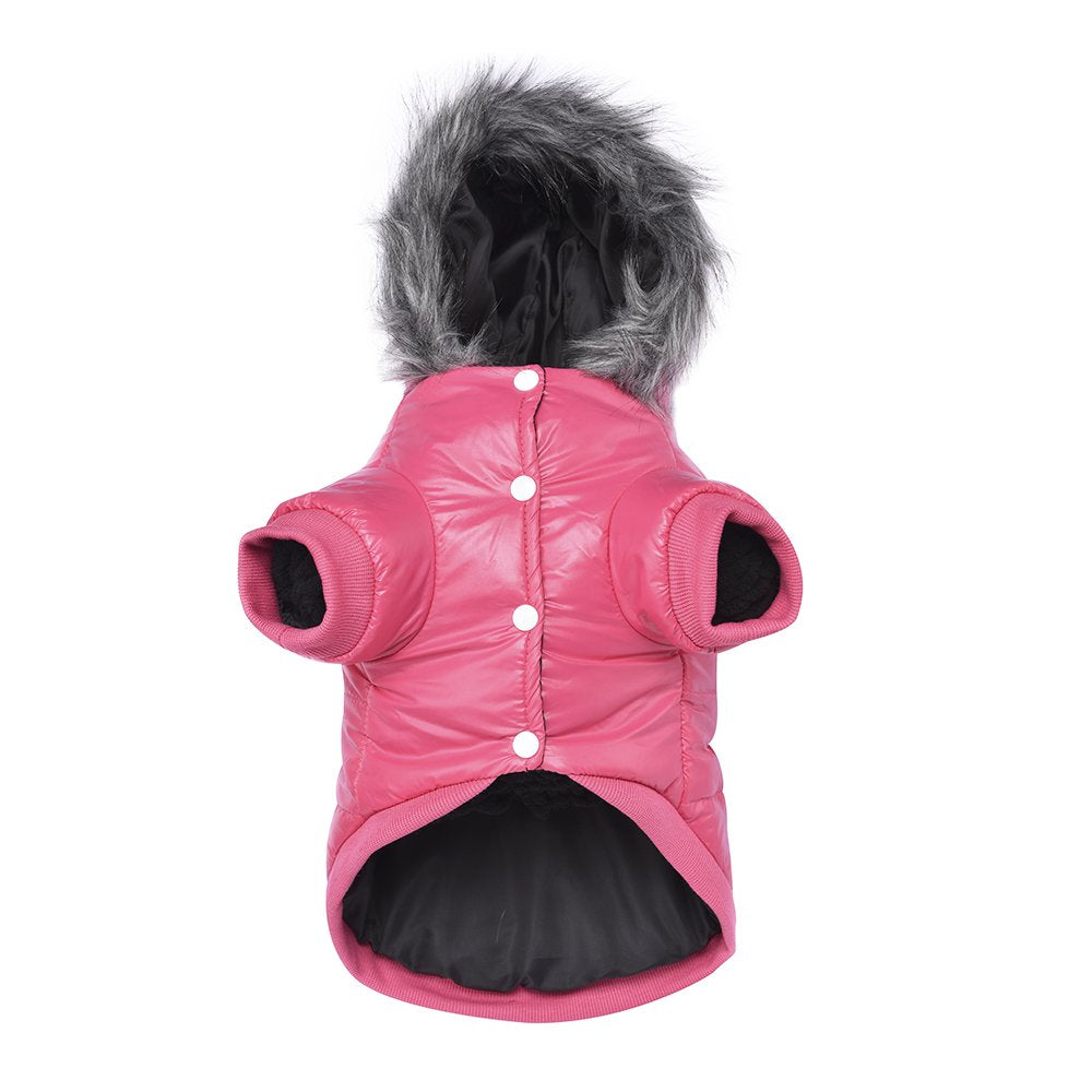 LESYPET pink windproof dog coat close-up for small dogs' warmth and style.
