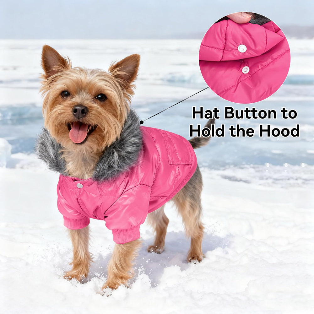 LESYPET pink windproof dog coat hood detail shows secure hood fit during cold walks.