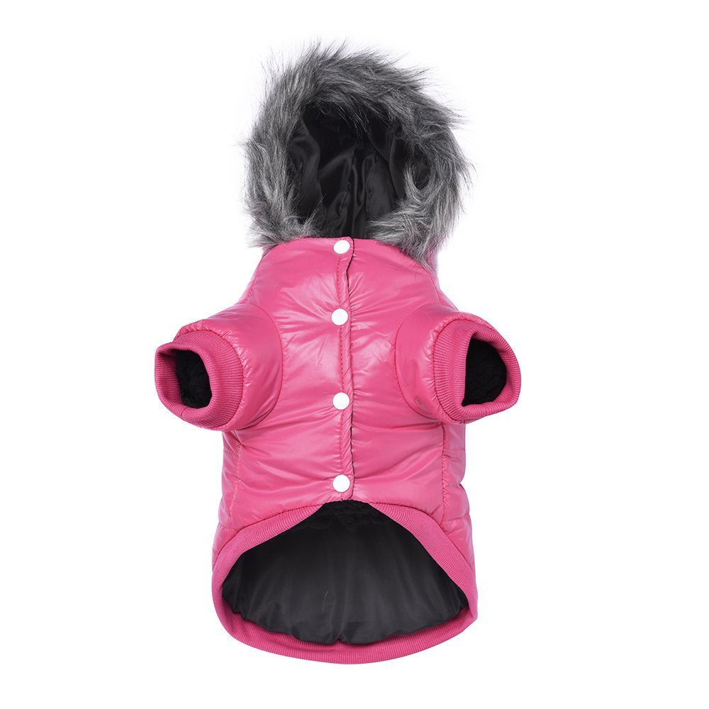 LESYPET pink windproof dog coat keeps small dogs warm on chilly walks.