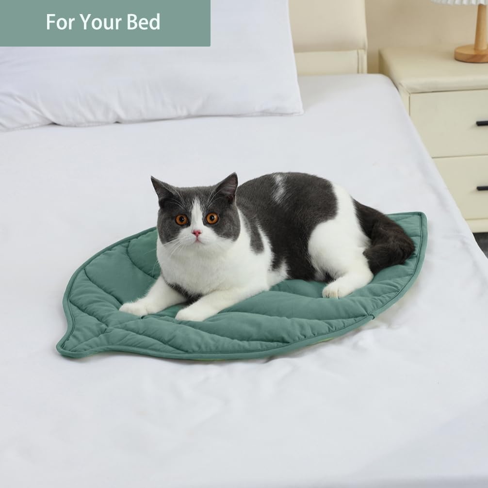 Letalong cat nests on pad illustrates comfortable lounging for indoor cats.