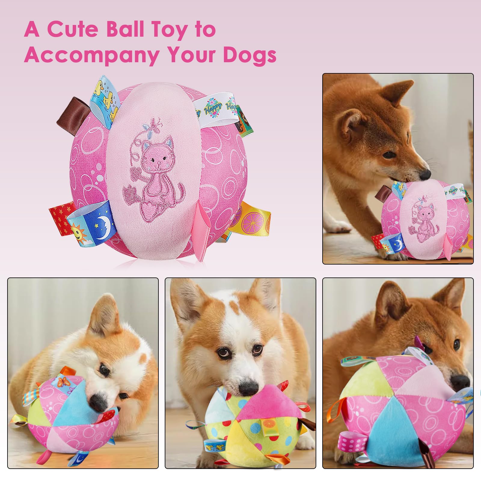 Letalong plush toy during indoor fetch play demonstrates engagement.