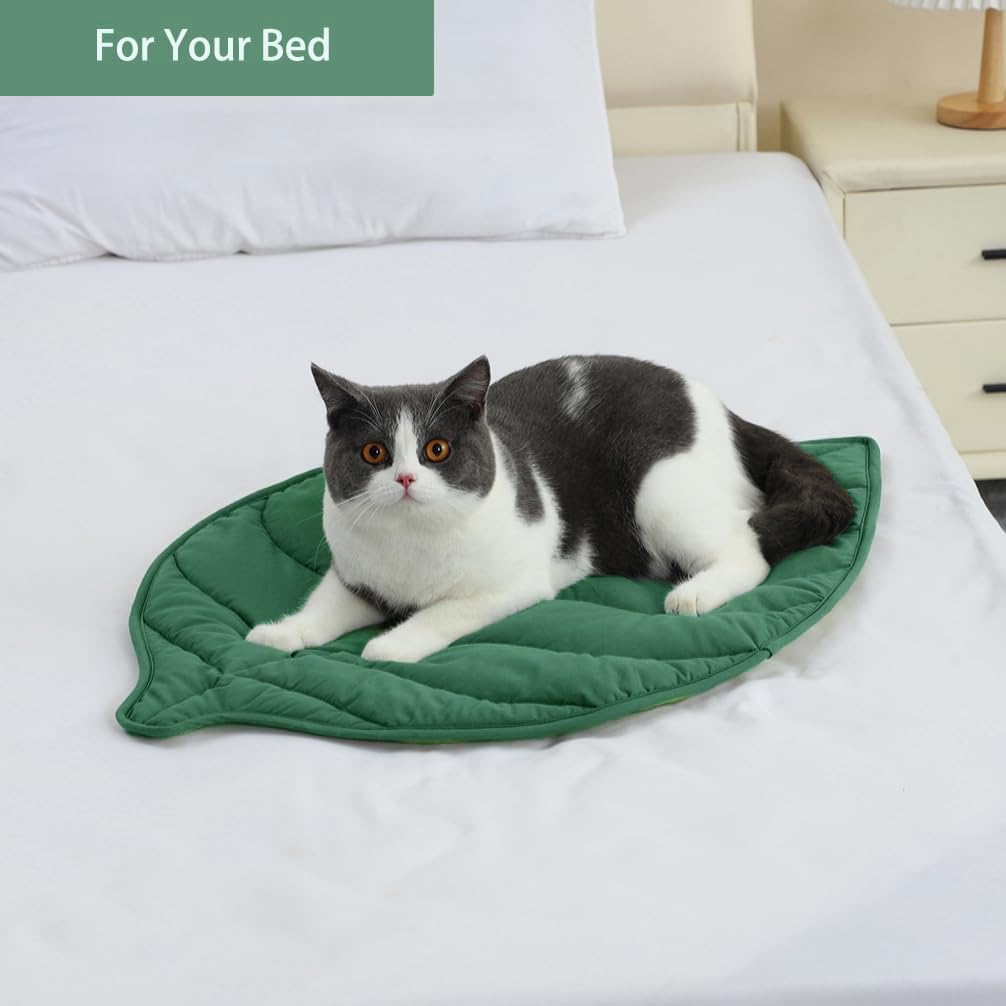 Feral or indoor cats can enjoy warmth on Letalong leaf bed pad.