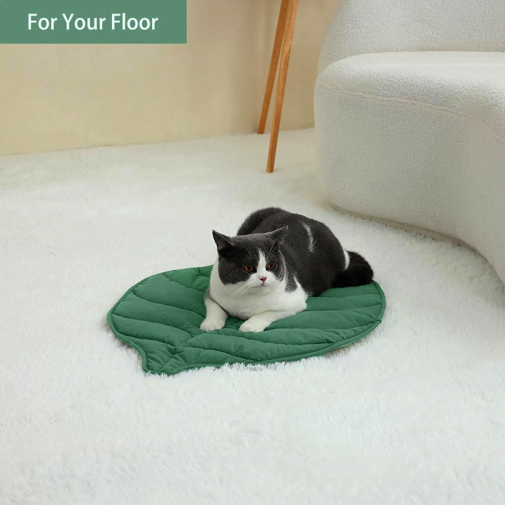Indoor cat uses Letalong leaf bed pad for cozy resting.