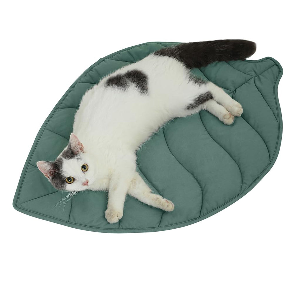 Letalong leaf bed 30x20 provides cozy warmth for indoor cats.